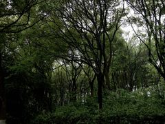 -新洲生态园