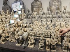 -秦始皇帝陵博物院(兵马俑)