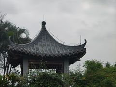 -海珠湖公园