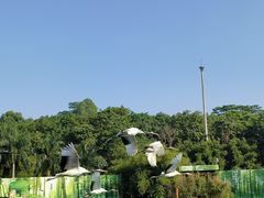 -深圳野生动物园