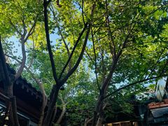 -VOYAGE COFFEE(杨梅竹店)