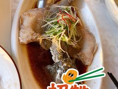 清蒸鲈鱼-金蝉食府(维吉奥广场店)