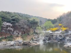 -北京西山国家森林公园