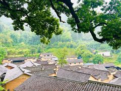 -杨家堂村