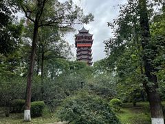 -塔子山公园