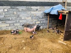 -清风小镇闯关东影视基地