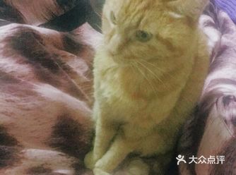 可是穿上没有五分钟，我闺女简直就是秒脱呀！