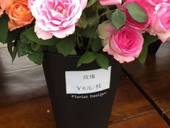-荷兰花海