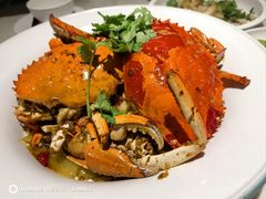 -石头咕(黄岐店)