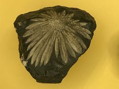 -湖南省地质博物馆