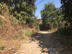 -大罗山风景区