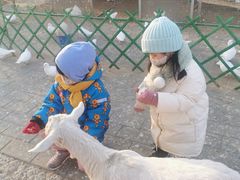 -1982农场