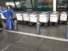 -上海浦东国际机场-T2航站楼