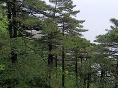 -黄山翡翠谷景区