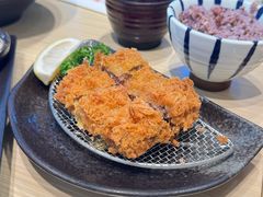 -胜博殿日式炸猪排(西红门店)