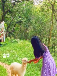 -花漾摄影优选工作室(东莞原创作品店)