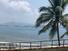 -雾山韩式烤肉·海南糟粕&椰子鸡火锅·海景餐厅(三亚绿发山海天JW万豪酒店)