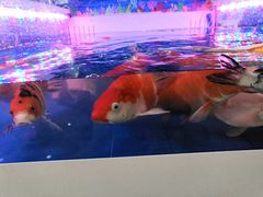 -金御沐足·影院式足道(新城店)
