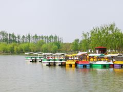 -上海长兴岛郊野公园