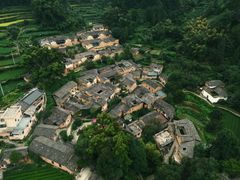 -杨家堂村
