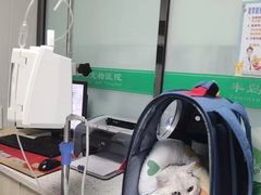 -半岛宠物医院24小时(科华中路店)
