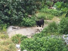 -七星潭蓝天广场