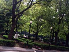 周边环境-上海交通大学医学院附属瑞金医院(总院)