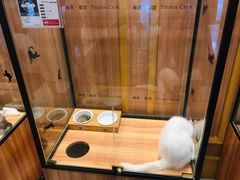 -袖虎·猫馆(体育西路店)