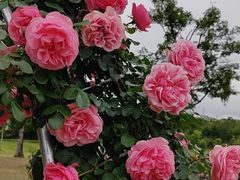 -牛岗山公园