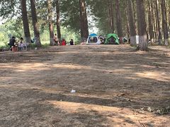 -蒲河岛湿地公园