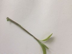-陈记泸州酸菜豆花火锅(建设路店)