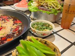 -朱光玉火锅馆(正弘城店)