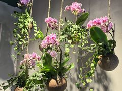 -御品猪腰·地道岭南味(千灯湖店)