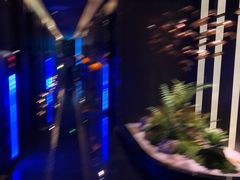 -沐庭影院泰式spa