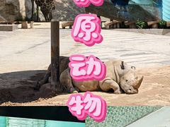 -太原动物园
