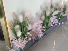 -抬蛙·秘制干锅(田森汇店)