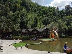 -西双版纳原始森林公园