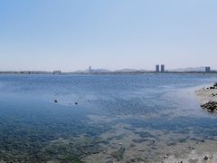 -养马岛旅游度假区