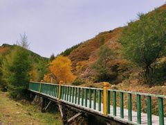 -苏木山森林公园