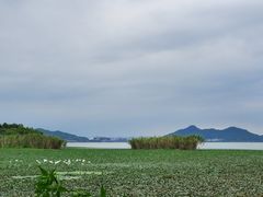 -东钱湖旅游度假区