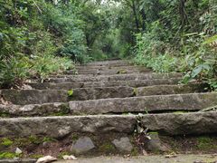 -杭州半山国家森林公园