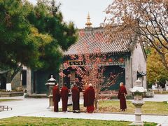 -护国法轮寺