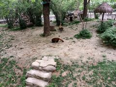 -西安秦岭野生动物园