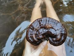 -仁爱团泊湖温泉中心