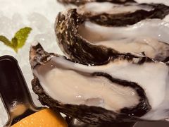 -Oyster Talks 四度蚝法餐厅