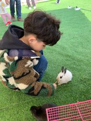 -萌宠亲子动物乐园(槐房万达店)