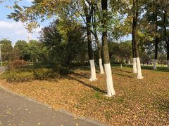 -九里河湿地公园