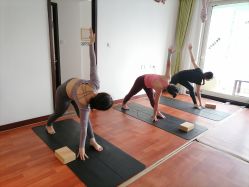 -Yvon yoga 瑜伽·精准体态管理中心