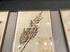 -四川大学博物馆