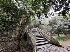 -潜山国家森林公园